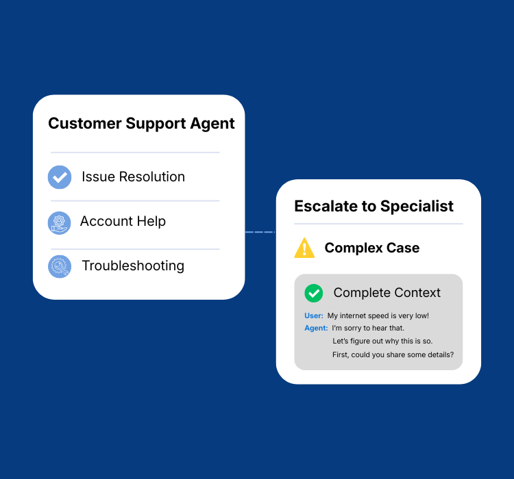 Customer Support Agent​